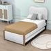 Latitude Run® Upholstered Platform Bed w/ Size Trundle in White | Twin | Wayfair AF64C708A544427E8C53B096C06BDEF2