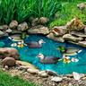 Etc-shop - Anatre da laghetto per laghetto da giardino famiglia di anatre anatra da nuoto per