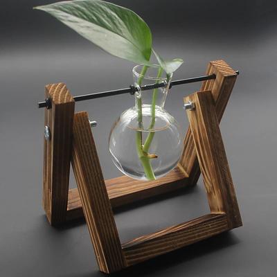 Creative Wooden Shelf Hydroponic Flower Bottle Green Carrot Glass Container