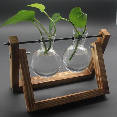 Creative Wooden Shelf Hydroponic Flower Bottle Green Carrot Glass Container