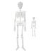 2 Halloween Posable Skeletons with Glowing Skulls - 90cm + 30cm
