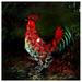 HElectQRIN Rooster Statue Garden Decor Metal Chicken for Kitchen Outdoor Yard Art with Solar LED Lights Metal Art Gift for Backyard Farm Patio Yard Lawn Home Decorations