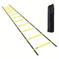 Pro Agility Ladder Agility Training Ladder Speed 12 Rung 20ft with Carrying Bag - Indoor Outdoor Sport Gym Use