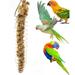 npkgvia Bird Feeders for Outdoors Tools Bird Food Holder Parrots Foraging Toys For Bird Cage Hanging Stainless Steel Bird Feeders Bird Food Basket For Fruit Accessories Bird Feeders