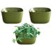 MOWENTA Eco Wall Planter Create a Plant Wall with Hanging Planters for Indoor or Outdoor Use (Olive 3 Pack)