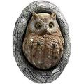 PENGXIANG Cartoon Fake Owl Tree Decoration Scarecrow Sculpture owl Outdoor Garden Pendant Suitable for Branches Eaves Decoration Garden Protectors Outdoor Garden Yard Decoy Bird