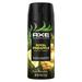 Axe Fine Fragrance Men s Deodorant Spray Royal Pineapple Grapefruit + Oakmoss Aluminum Free 4 oz