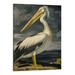 BCIIG Bird Art Poster for Wall - American White Pelican Canvas Painting Poster Gift for Animal Lovers An Canvas Painting Posters And Prints Wall Art Pictures for Living Room Bedroom Decor 16 x20