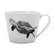 Maxwell & Williams Marini Ferlazzo Green Sea Turtle 450ml Squat Mug