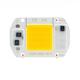 Slowmoose Cob Chip Lamp-smart Ic No Need Driver Led Bulb Cold white 20W / AC 200-240V