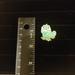 Disney Accessories | Disney Trading Pin Tangled Pascal Frog Hidden Micky 3 Of 5 | Color: Green | Size: Os