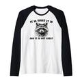 It Is What It Is And It Is Not Great Funny Raccoon Raglan