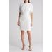 Dolman Sleeve Sheath Dress