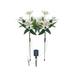 Solar Flowers Garden Lights Waterproof Led Landscapes Stake Lights Solar Flowers Garden Decorative Lights Led Stake Lights Auto On/Off Bright Up to 8 Hours (White)