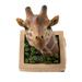 3D Giraffe Head Sculpture Wall Figurines Statue Decor