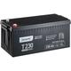 Traction T230 gel Batterie Décharge Lente 12V 230Ah - Accurat