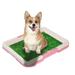 Pet Potty Trainer Grass Mat Dog Puppy Training Pee Poop Pad for Indoor Toilet