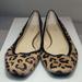 Kate Spade Shoes | Kate Spade Fur Leopard Print Flats Size 8.5m | Color: Brown/Tan | Size: 8.5
