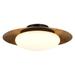 Minka Lavery 5626-L Zinola 18" Wide LED Semi-Flush Mount Ceiling