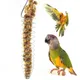 Stainless Steel Parrot Bird Food Baskets Foraging Equipment Fruit Vegetable Basket Parrot Toy Pet