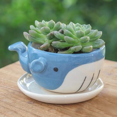 'Hand-Painted Whale-Shaped Ceramic Mini Flower Pot...