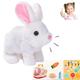 ZTMHRG Interactive Rabbit Toy Suit, Pet Plush Rabbit Toy with Sound, Can Run, Wiggling Ears, Rabbit Hopping Game, Easter Basket Filler,C