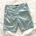 American Eagle Outfitters Shorts | American Eagle Shorts Mens 34 Mint Green Extreme Flex Cotton Outdoors Casual | Color: Green | Size: 34