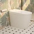 R&T Elongated Smart Toilet w/ Built In Tank, One-piece Bidet Toilet for Bathroom in Gray | 31 H x 19 W x 25.4 D in | Wayfair U69-T