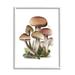 Stupell Industries Az-383-Framed Mushrooms On White Framed On Wood by Studio Q Print Wood in Brown | 30 H x 24 W x 1.5 D in | Wayfair