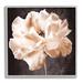 Stupell Industries Az-419-Framed Vintage Rose Print Canvas in Black | 12 H x 12 W x 1.5 D in | Wayfair az-419_gff_12x12