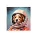 Stupell Industries Astronaut Dog In Space Framed On Wood by Roozbeh Wood in Brown | 0.5 D in | Wayfair az-133_wd_12x12