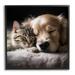 Stupell Industries Az-177-Framed Cat & Dog Print Canvas in Black | 12 H x 12 W x 1.5 D in | Wayfair az-177_fr_12x12