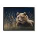 Stupell Industries Az-015-Framed Bear & Butterfly Scene by James Corwin Canvas in Brown | 11 H x 14 W x 1.5 D in | Wayfair az-015_fr_11x14