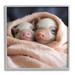 Stupell Industries Cuddling Sleepy Piglets by Roozbeh Single Picture Frame Print on Canvas in Black/Pink/White | 12 H x 12 W x 1.5 D in | Wayfair