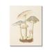 August Grove® Vintage Mushroom Study by Lil' Rue Metal | 40 H x 30 W x 1.5 D in | Wayfair CFC327D147FF458ABB8EF560C5B8C0DC