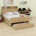 Red Barrel Studio® Uroosa Panel Storage Bed Wood in Brown | 44.1 H x 56.3 W x 88 D in | Wayfair 95DAC0574F3F4FCBA7E1B93EC23C1ED4
