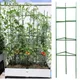 12 Pcs Garden Vegetables Stakes For Plant Cage Support Tomato Cage For Vertical Climbing Plants For