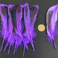 50 Pcs Red Duck Feather 4-6 Inch 10-15cm Bulk Natural Feather Crafts Carnival Party Clothing Hat Accessories Decorations