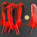 50 Pcs Red Duck Feather 4-6 Inch 10-15cm Bulk Natural Feather Crafts Carnival Party Clothing Hat Accessories Decorations