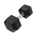 HAJEX Rubber Hex Dumbbellsb 20 LB Single