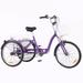 YAPENG 26 inch Adult Tricycles Low Step-Through Frame 3 Wheels Cruiser Bicycles with Front and Cargo Basket for Seniors Women Men Purple