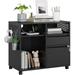 Office File Cabinet on Wheels Mobile Filing Cabinets with Shelf Metal Printer Stand Rolling File Cabinet with Lock Home Office File Organizer with 2 Drawers and Shelves