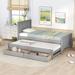 2 Color Twin Size Platform Bed with Trundle and 2 Drawers,Style Design
