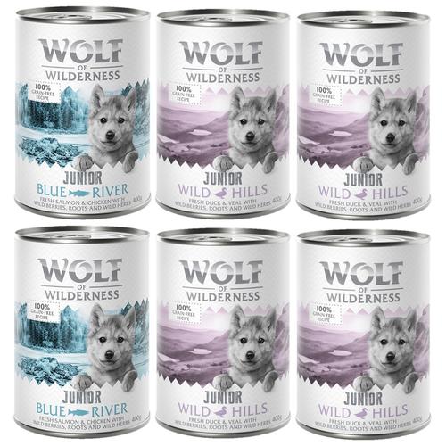 6 x 400 g Junior Mixpaket Wolf of Wilderness getreidefreies Hundefutter nass