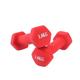 Dumbells Dumbbell Women's Fitness Household Men's Student Cast Iron Bell Equipment Yoga Exercise Arm Hexagonal Dumbbell Dumbell Set (Color : Red, Size : A)