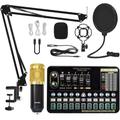 Loufy Podcast Equipment Set Live Sound Card Variant Microphone Bm800 Replacement Parts Set for Live Broadcast