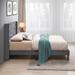 Velvet Gray Button Tufted-Upholstered Bed, With Headboard, Legs, and Durable Wooden Slats (Mattress not Included), Queen