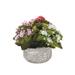 Kalanchoe Flower Bushes Red Rose Yellow in Stone Round Pot - White, pink, rose, green