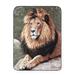 Shavel Home Products High Pile Oversized 60x80 Luxury Throw Polyester in Brown | Wayfair HP60X80LION