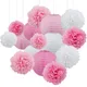 15Pcs Tissue Paper Pom Poms Lanterns Wedding Decorations Tissue Pom Poms Kit White Pink Tissue Paper